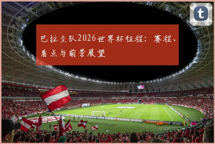 巴拉圭队2026世界杯征程：赛程、看点与前景展望